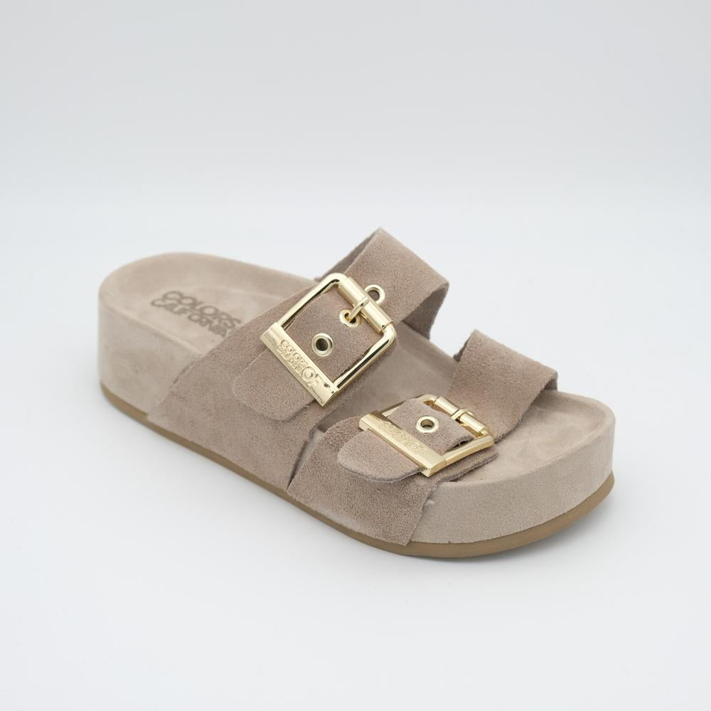 01790_146|a1f7a9a66fe9f112382917ac20b7c92f